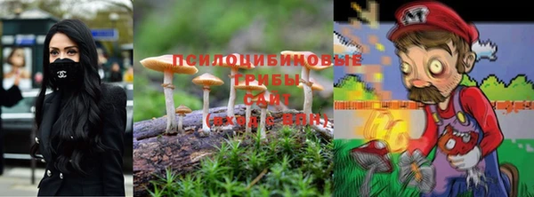 ECSTASY Абаза