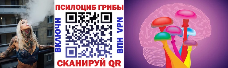 это телеграм Челябинск Псилоцибиновые грибы Psilocybine cubensis